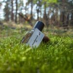 عطر ادکلن مولفار فارست چارزیلیا - Molfar Forest / Мольфарський Ліс Char-Zillya - بررسی، قیمت و خرید