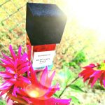 عطر ادکلن دارک وینیل ماسک بوهوبوکو - Dark Vinyl Musk Bohoboco - بررسی، قیمت و خرید