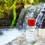عطر ادکلن فیلسیو بیورک اند بریز - Fjällsjö Bjork and Berries - بررسی، قیمت و خرید