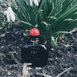 عطر ادکلن جوی ژان پاتو - Joy Jean Patou - بررسی، قیمت و خرید