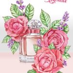 عطر ادکلن مون گرلن بلوم آف رز گرلن - Mon Guerlain Bloom of Rose Guerlain - بررسی، قیمت و خرید