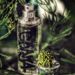 عطر ادکلن گانجا کام د گارسون - Ganja Comme des Garcons - بررسی، قیمت و خرید