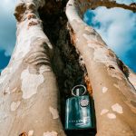 عطر ادکلن سوپرماسی نوآر افنان - Supremacy Noir Afnan - بررسی، قیمت و خرید
