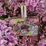 عطر ادکلن لیلاس فراگنارد - Lilas Fragonard - بررسی، قیمت و خرید