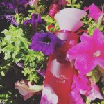 عطر ادکلن پینک فلاور آکولینا - Pink Flower Aquolina - بررسی، قیمت و خرید