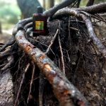 عطر ادکلن ایتالین لدر جاست جک - Italian Leather Just Jack - بررسی، قیمت و خرید