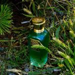 عطر ادکلن انگکور نایت بلند عود - Angkor Night Blend Oud - بررسی، قیمت و خرید
