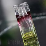 عطر ادکلن مومنت د بونور ایوروشه - Moment de Bonheur Yves Rocher - بررسی، قیمت و خرید