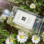 عطر ادکلن هانیساکل اند داوانا جو مالون لندن - Honeysuckle & Davana Jo Malone London - بررسی، قیمت و خرید