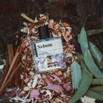 عطر ادکلن نلسون گای فاکس - Nelson GUY FOX - بررسی، قیمت و خرید