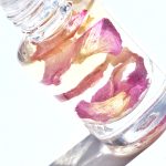 عطر ادکلن رز گاردن جاگایا - Rose Garden Jagaia - بررسی، قیمت و خرید