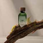 عطر ادکلن وتیور ترا آدولفو دومینگِز - Vetiver Terra Adolfo Dominguez - بررسی، قیمت و خرید
