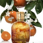 عطر ادکلن گاد سیو د کویین سنس آف سنت - God Save the Queen Sense of Scent - بررسی، قیمت و خرید