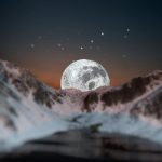 عطر ادکلن مونلایت سایپرس آ لا لون - Moonlight Cypress A La Lune - بررسی، قیمت و خرید