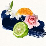 عطر ادکلن مود فور تتو ومن آناياکه - Mood For Tattoo Woman Annayake - بررسی، قیمت و خرید