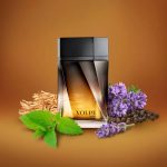 عطر ادکلن وولپه یودورا - Volpe Eudora - بررسی، قیمت و خرید