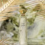 عطر ادکلن کلونیا نامبر نود و دو ماوزان - Colonia No92 Mauzan - بررسی، قیمت و خرید
