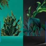 عطر ادکلن فرسکور اگزوتیکو ویکتوریا اند لوچینو - Frescor Exótico Victorio & Lucchino - بررسی، قیمت و خرید