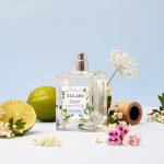 عطر ادکلن چیپر برگاموت اند کوریاندر کولابو - Chypre Bergamot & Coriander COLABO - بررسی، قیمت و خرید