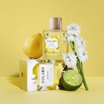 عطر ادکلن سیترس لیمون و پتی گرین کولابو - Citrus Lemon & Petitgrain COLABO - بررسی، قیمت و خرید