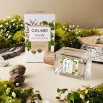 عطر ادکلن وودی سیداروود اند پچولی کولابو - Woody Cedarwood & Patchouli COLABO - بررسی، قیمت و خرید