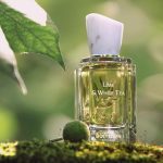 عطر ادکلن لایم اند وایت تی بویتون - Lime & White Tea 青柠白茶 Boitown 冰希黎 - بررسی، قیمت و خرید