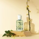 عطر ادکلن عثمانتوس و لونگ چنگ بویتون - Osmanthus & Lung Ching 桂花龙井 Boitown 冰希黎 - بررسی، قیمت و خرید