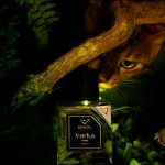 عطر ادکلن بنگال ورتوس - Bengal Vertus - بررسی، قیمت و خرید