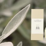 عطر ادکلن رِیدیِنت مودون - Radiant Moudon - بررسی، قیمت و خرید