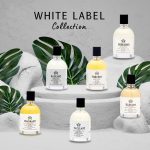 عطر ادکلن رِیدیِنت مودون - Radiant Moudon - بررسی، قیمت و خرید