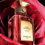 عطر ادکلن رز سنتیفولیا اکستره یک گرلن - Rose Centifolia Extrait 1 Guerlain - بررسی، قیمت و خرید