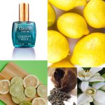عطر ادکلن کولون بلو کنده پارفوم - Cologne Bleue Condé Parfum - بررسی، قیمت و خرید
