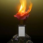 عطر ادکلن روزاس روباداس تانیا بولهونس - Rosas Roubadas Tania Bulhões - بررسی، قیمت و خرید
