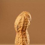عطر ادکلن پینات دی‌اس اند دورگا - Peanut DS&Durga - بررسی، قیمت و خرید