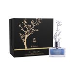 عطر ادکلن دسیجوئس وینتر اورورا سنتس - Deciduous Winter Aurora Scents - بررسی، قیمت و خرید