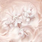 عطر ادکلن له مو دو اینفینیمان کوتی پاریس - Les Mots Doux Infiniment Coty Paris - بررسی، قیمت و خرید