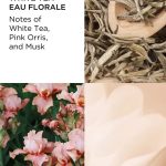 عطر ادکلن وایت تی او فلورال اِلیزابت آردن - White Tea Eau Florale Elizabeth Arden - بررسی، قیمت و خرید