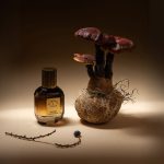 عطر ادکلن این اکسترمیس آستروفیل اند استلا - In Extremis Astrophil & Stella - بررسی، قیمت و خرید