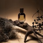 عطر ادکلن این اکسترمیس آستروفیل اند استلا - In Extremis Astrophil & Stella - بررسی، قیمت و خرید