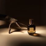 عطر ادکلن این اکسترمیس آستروفیل اند استلا - In Extremis Astrophil & Stella - بررسی، قیمت و خرید