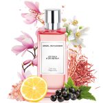 عطر ادکلن سیترسی مگنولیا آنجِل شلسِر - Citrusy Magnolia Angel Schlesser - بررسی، قیمت و خرید