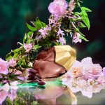 عطر ادکلن ویندو تو سول اوربلا - Window2Soul Orebella - بررسی، قیمت و خرید
