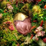 عطر ادکلن ویندو تو سول اوربلا - Window2Soul Orebella - بررسی، قیمت و خرید