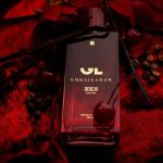 عطر ادکلن جی ال امبایکسادور دسیجو اله جی ال - GL Embaixador Desejo Ele GL - بررسی، قیمت و خرید