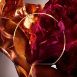 عطر ادکلن آبسولو آی فلامد اِ روز لنکوم - Absolue I Flamed A Rose Lancôme - بررسی، قیمت و خرید