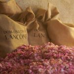 عطر ادکلن ابسولو رز آن د مان لانکوم - Absolue Rose On The Moon Lancôme - بررسی، قیمت و خرید
