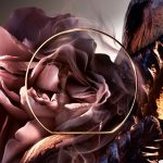 عطر ادکلن ابسلوت رز اور دی لانکوم - Absolue Rose Or Die Lancôme - بررسی، قیمت و خرید