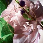 عطر ادکلن ابسول استورم اند روزز لانکوم - Absolue Storm & Roses Lancôme - بررسی، قیمت و خرید