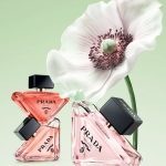 عطر ادکلن پرادا پارادوکس ویرچوال فلاور پرادا - Prada Paradoxe Virtual Flower Prada - بررسی، قیمت و خرید