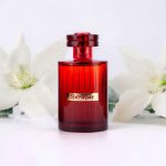 عطر ادکلن اسکایندی پکس فان - Skynday Paxfun - بررسی، قیمت و خرید